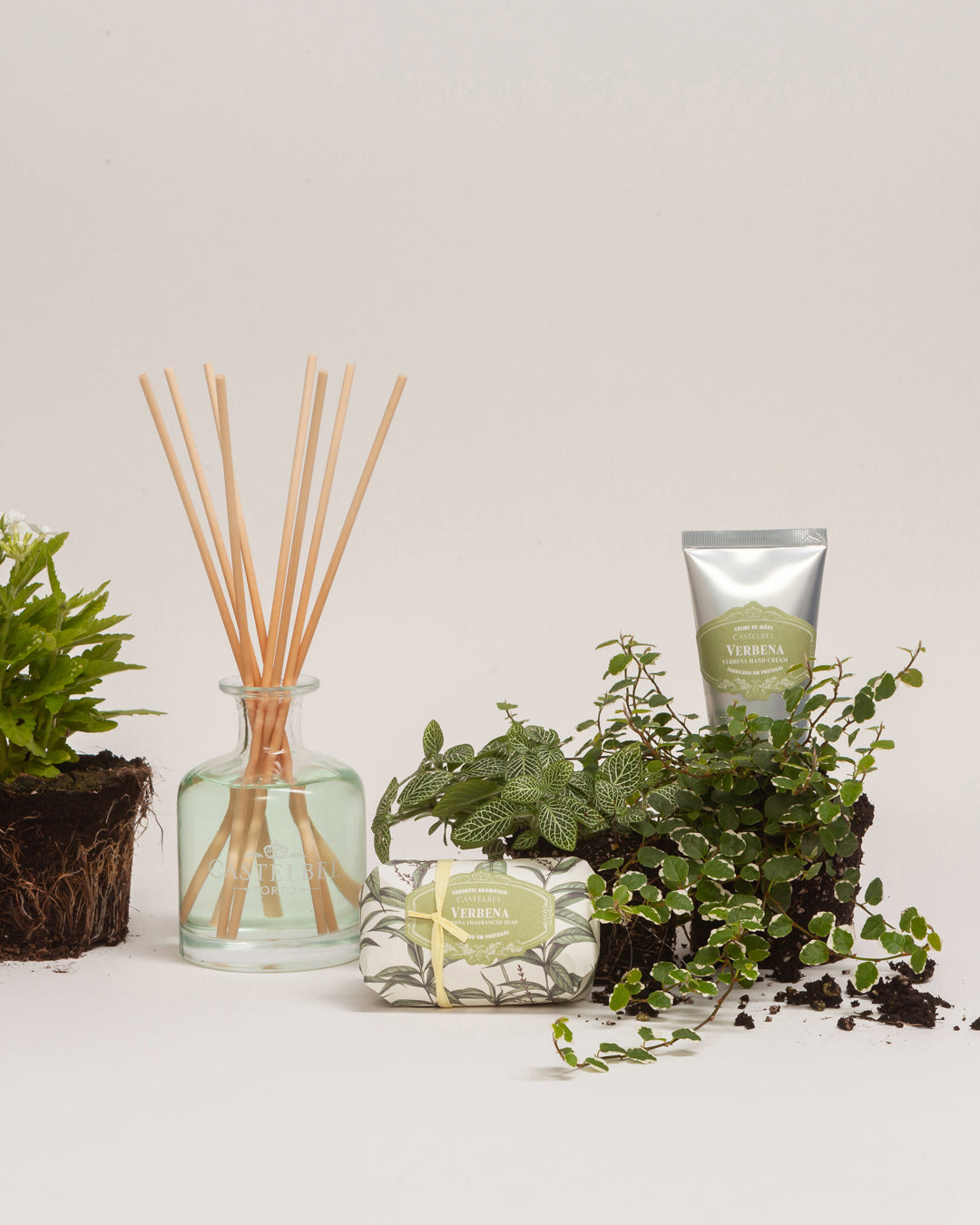 Verbena Gift Set
