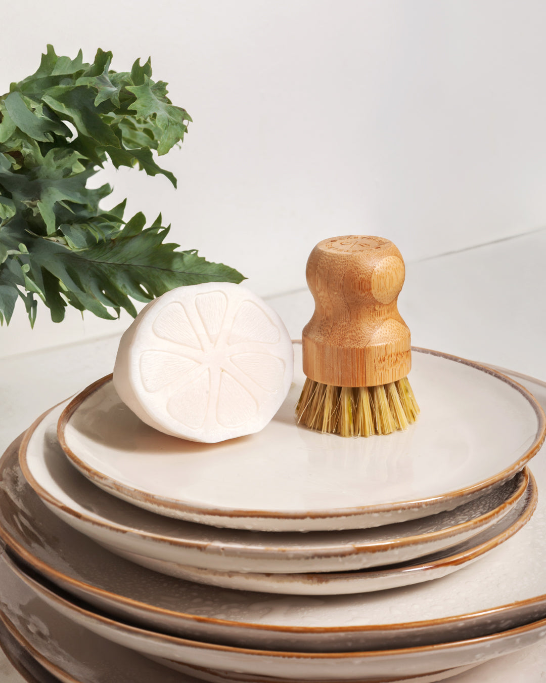 Sardine Dishwashing Soap & Bamboo Brush Set